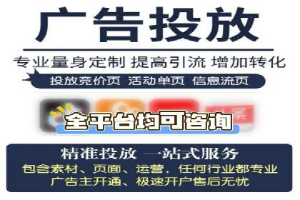 SEM推广技巧：成功案例深度剖析